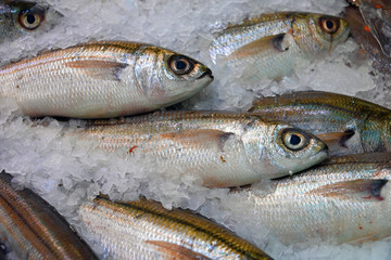 Frische Fische auf Eis im Wochenmarkt