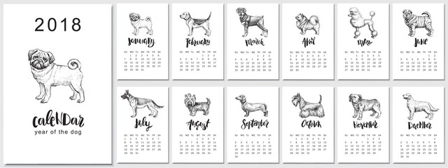 2018 vector calendar design with dogs breeds. Hand drawn llustrations. and calligraphy.
