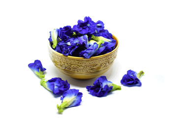 Butterfly pea in the Cup on white background.