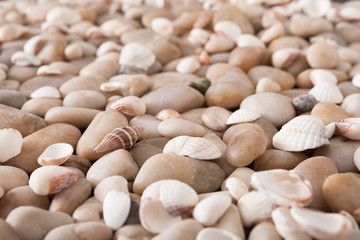 Sea pebbles background, natural seashore stones