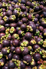 Mangosteens in the market; queen of fruits