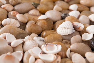 Sea pebbles background, natural seashore stones