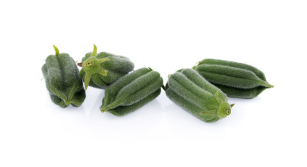 fresh sesame pods isolated on white background