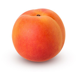 Fresh ripe apricot