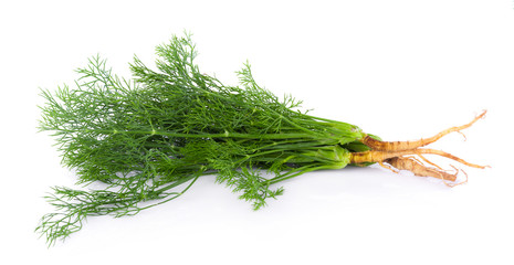 fresh dill on white background