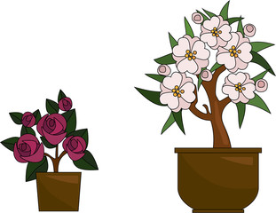 Roses and jasmine in potted garden vector illustration