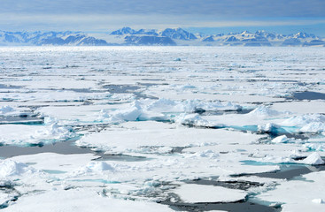 Im Packeis vor Spitzbergen