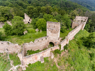 Fototapeta na wymiar Saschiz fortress from above