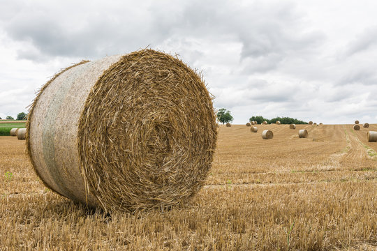 Heu und Strohhalme auf dem Ackerfeld 