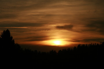 Sunlight