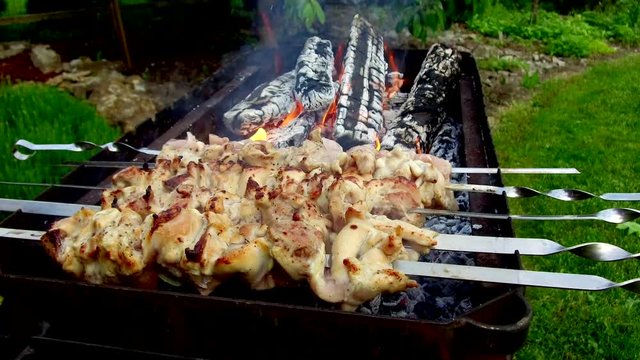 meat on skewers and firewood in brazier outdoors