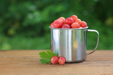 Gooseberries in cup on wood background
