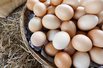 Hen eggs basket on straw / fresh farmer's eggs