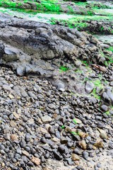 rocks in the beach