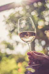 Weinglas, erfrischender Weißwein, gehalten in Frauenhand, Abendsonne