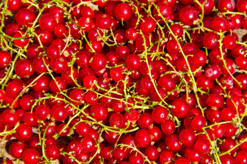 Fresh ripe red currant for background