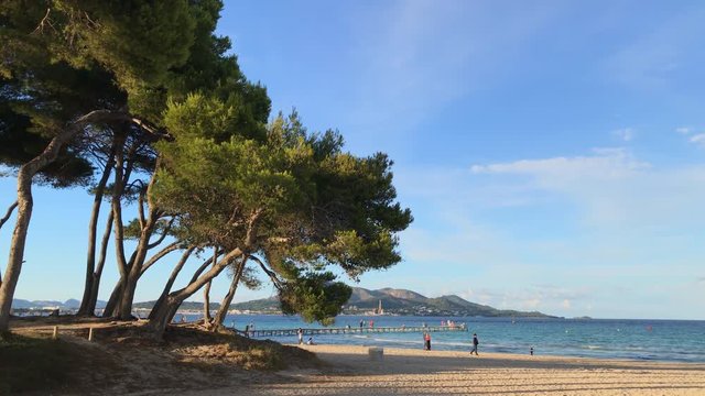 Majorca beautiful sandy beach. Playa de Muro, Mallorca, Spain