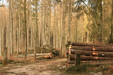 Baumarbeiten