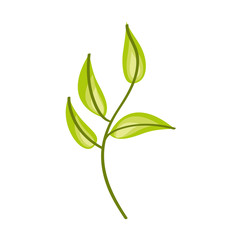 Obraz premium leaf plant decorative icon vector illustration design
