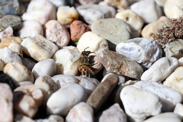 Gartengestaltung