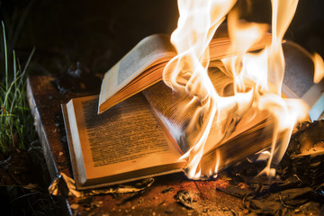burning books