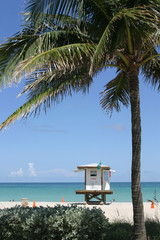 Strand von Miami Beach in Florida