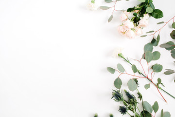 Beige roze bloemen, eringium bloem, eucalyptus takken op witte achtergrond. Plat lag, bovenaanzicht. Bloemen achtergrond