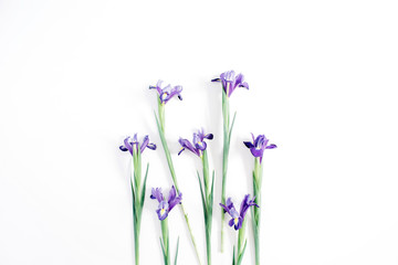Beautiful purple iris flowers on white background. Flat lay, top view