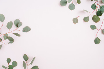 Beautiful eucalyptus branches frame on pale pastel pink background. Flat lay, top view. Lifestyle...
