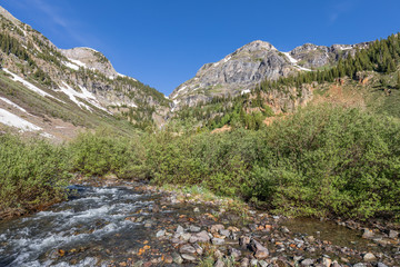 Colorado Mountain Landscape in Summer