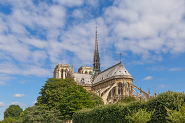 Naklejka na ściany i meble view on Notre-Dame de Paris cathedral in Paris at summer day