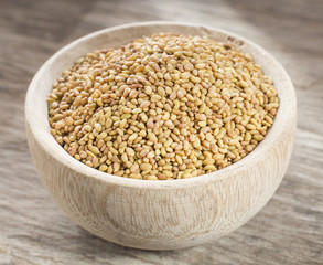 Seeds alfalfa - Medicago sativa