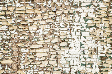 The wall with the rough mosaic