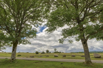 Natural park of Urbasa and andia in Navarra