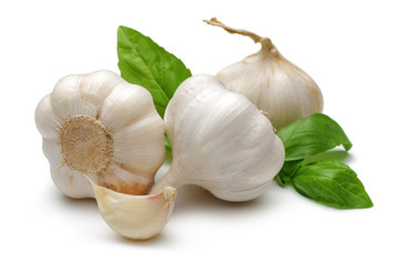 Garlic