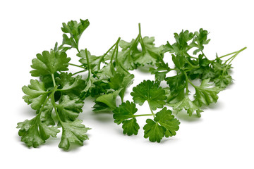 Parsley