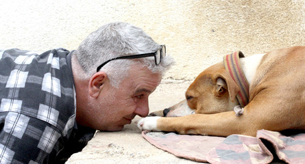 man loving american staffordshire terrier dog