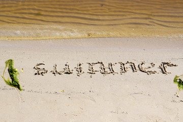 Summer landscape. The inscription summer on the river with green sand beached silt near the river