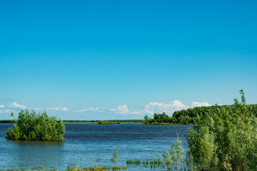 Summer landscape. A river flood. Water flooded green willow bushes.