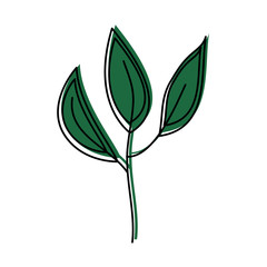 leaf plant decorative icon vector illustration design