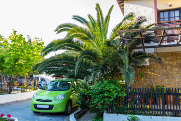 Fototapete bei efototapeten.de bestellen   