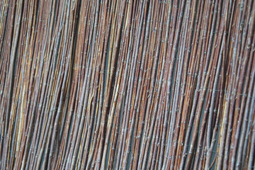 Background from the fence of their twigs.