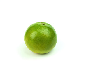 orange fruit on white background