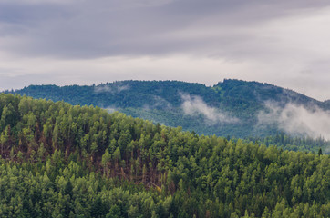 Ukrainian carpathian mountaine landscape with fog