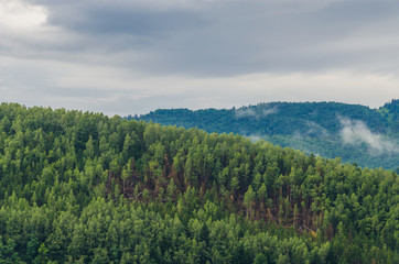 Ukrainian carpathian mountaine landscape with fog