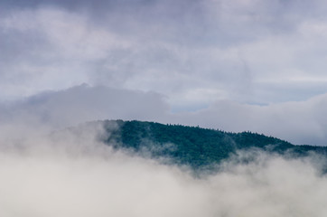 Ukrainian carpathian mountaine landscape with fog