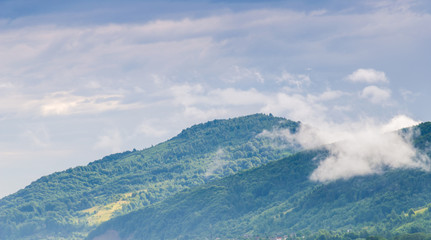 Fototapeta premium Ukrainian carpathian mountaine landscape with fog