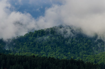 Ukrainian carpathian mountaine landscape with fog