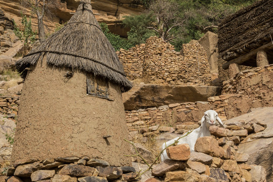 Dogon architecture - Tireli, Pays Dogon, Mali
