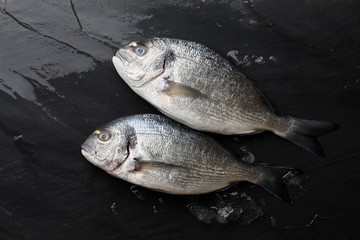 Fresh dorado or gilthead bream on black stone background with ice